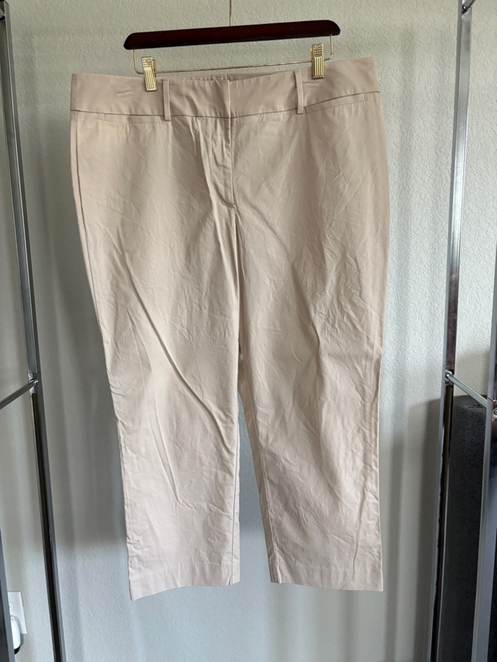 Ann Taylor Factory Cropped Pants in tan